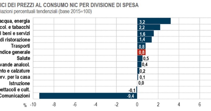 L’indice dei prezzi al consumo Nic per divisione di spesa