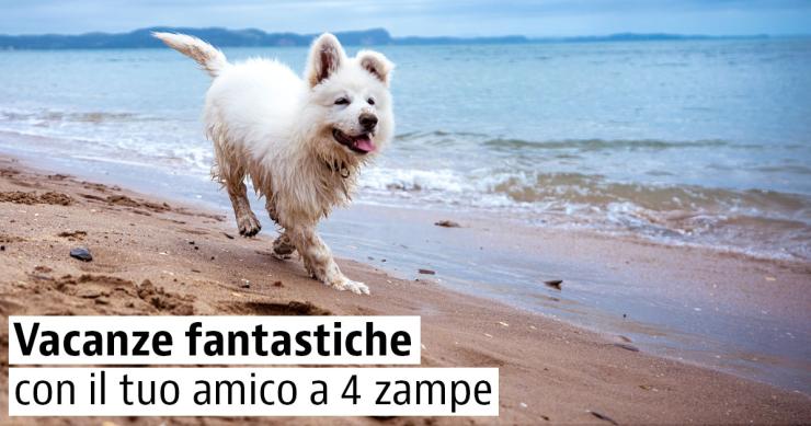 Spiagge per cani in Italia