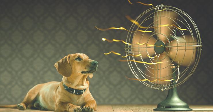 Come combattere il caldo senza condizionatore in casa