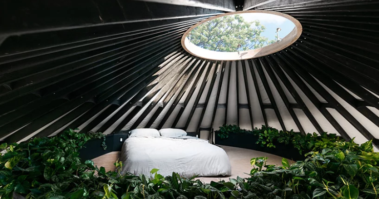 Una coppia ha costruito da sola la capanna dove vive in un bosco di Portland