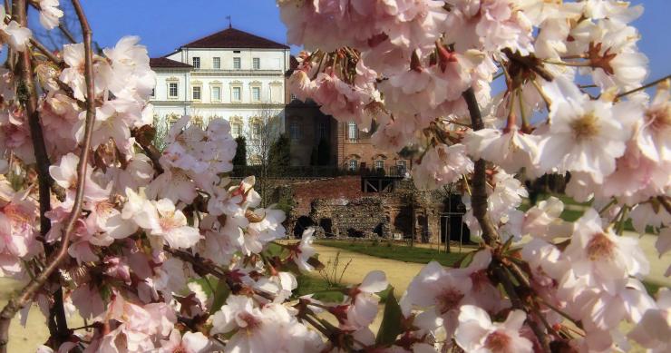 La Reggia di Venaria, vincitore della categoria "Parchi Pubblici"