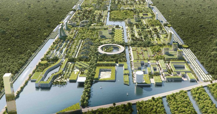 Smart City Forest
