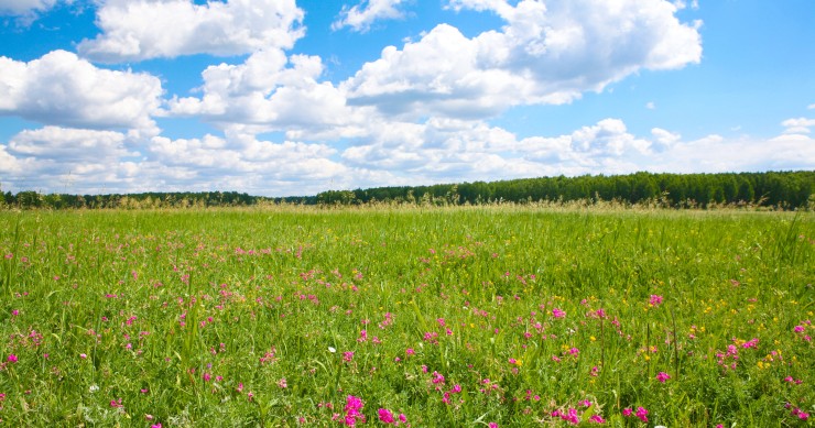 Imu sulle aree fabbricabili