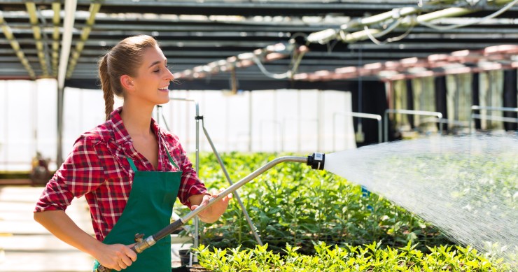 Bonus giardini proroga nel 2020