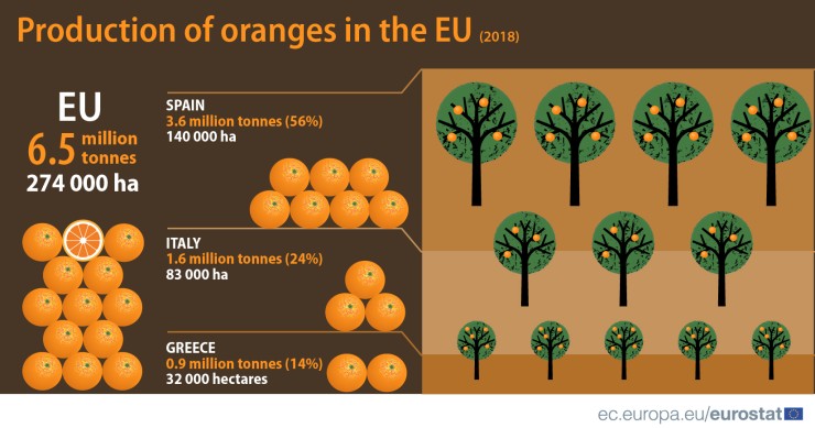 La produzione di arance in Europa