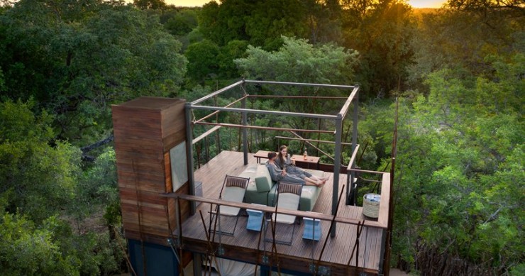 L'hotel che invita a dormire in una casa-albero nel mezzo della natura in SudAfrica