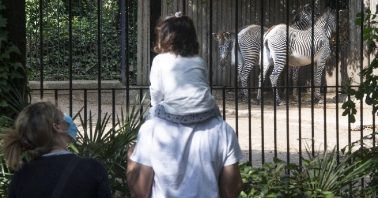 Manovra: Misiani, 8 mld base per fisco, cresceranno molto