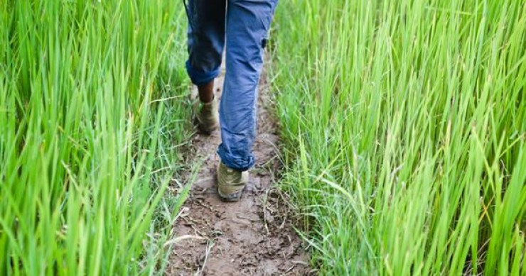 Dpcm Natale, sarà permesso spostarsi nelle seconde case?
