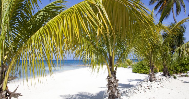 Vivere e fare smart working nel paradiso delle Isole Cayman a una condizione: guadagnare 85.000 euro