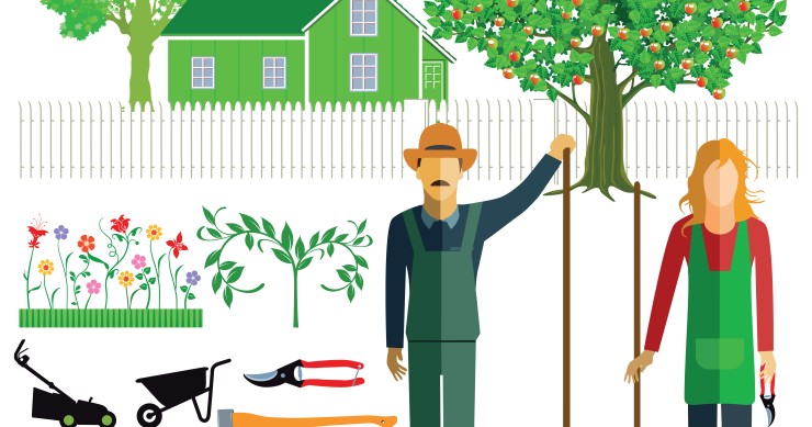 Taglio di alberi secolari, come regolarsi quando sono in condominio