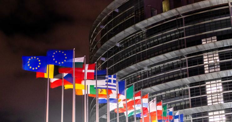 La risoluzione del Parlamento europeo sull'accesso a un alloggio dignitoso e a prezzi abbordabili