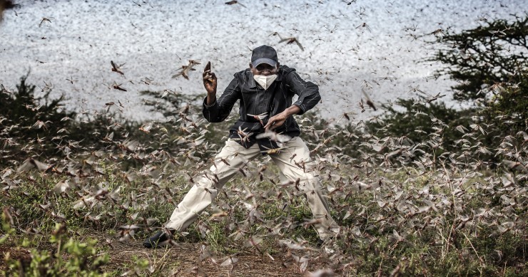 World Press Photo 2021: le nomination per le migliori foto dell'anno