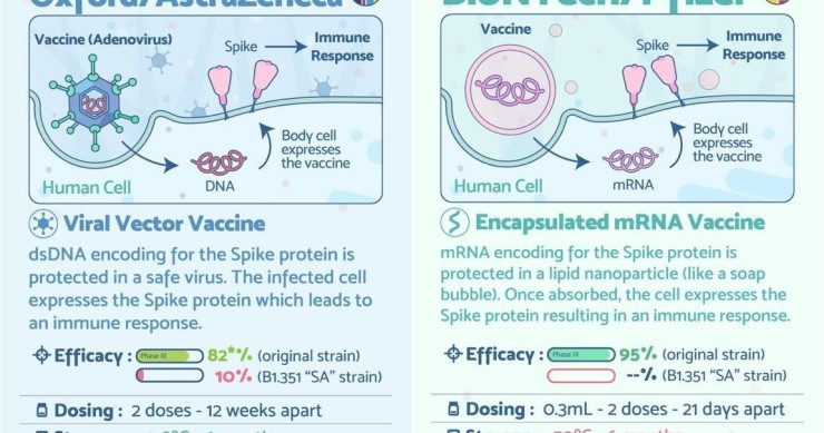 Come funzionano i vaccini Pfizer e AstraZeneca