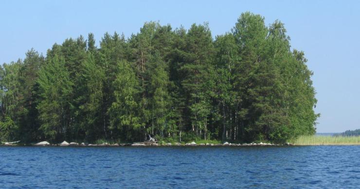 Vendesi isola privata in Finlandia (e costa meno di una casa in città)