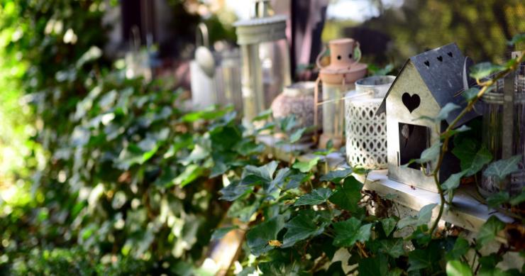 Ecco otto piccoli alberi da piantare nel tuo giardino