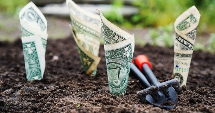 Imu 2021, chi ha diritto all'esenzione dalla prima rata