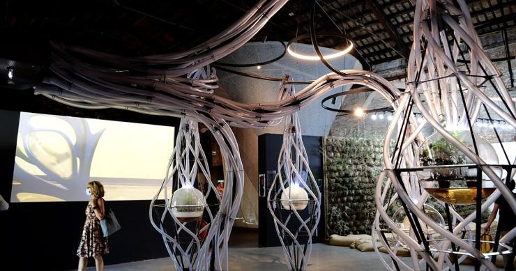 Alla scoperta delle "Comunità Resilienti" del Padiglione Italia nella Biennale di Architettura di Venezia