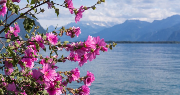 Svizzera a rischio bolla immobiliare, l’analisi di Ubs