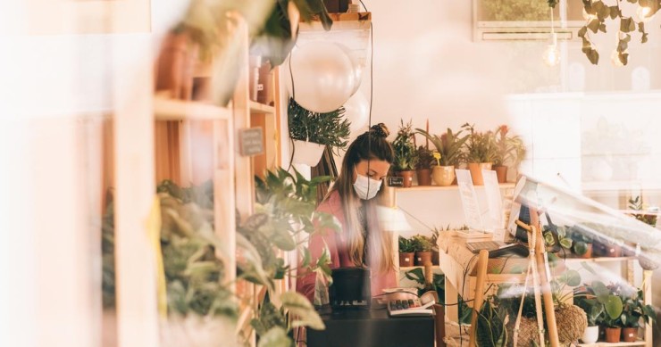 Prendersi cura delle piante in casa fa bene: i benefici per il corpo e la mente