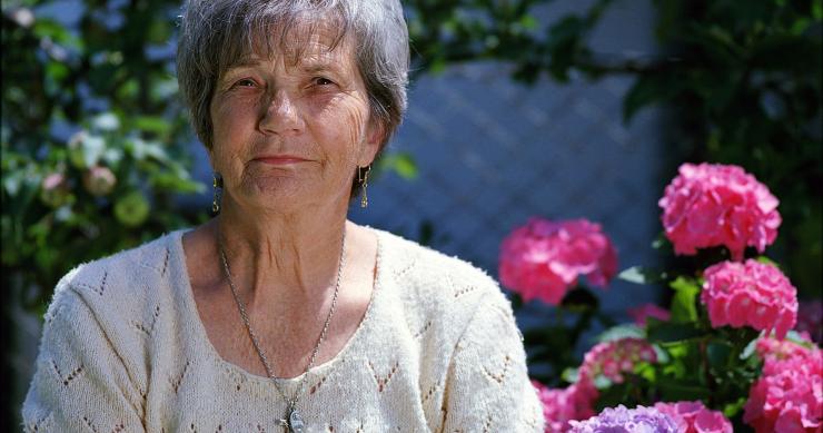 La riforma delle pensioni entra nel vivo, le ultimissime notizie su quota 41