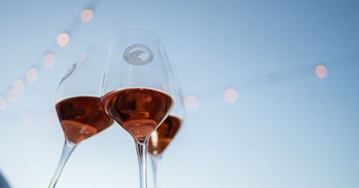 Vino italiano, cambiano i consumi: il 55% di chi lo beve ? donna