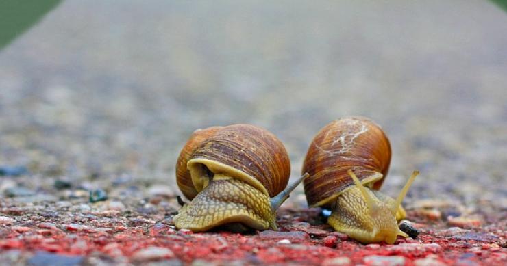 proroga del superbonus 110