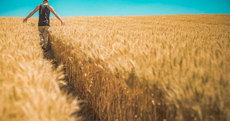 Fao: prezzi alimentari mondiali a livelli pi? alti da luglio 2011