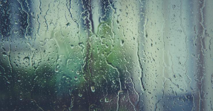 Come eliminare la condensa e l'umidità dalle finestre (e prevenirle)