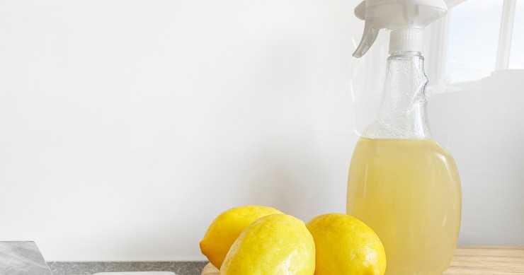 Detersivi fatti in casa per pulire la casa