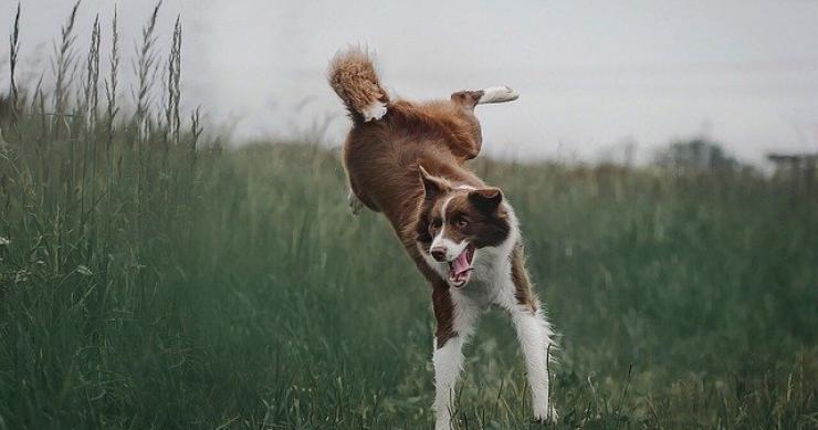 Superbonus 110, le ultime notizie