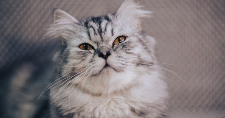 Decreto sostegni ter, cessione credito superbonus