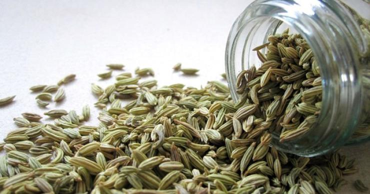 Piante aromatiche e medicinali: come creare un orto della salute in casa 