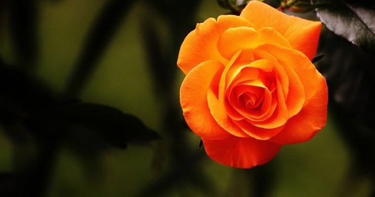 Cosa cambia con le nuove regole per la zona arancione