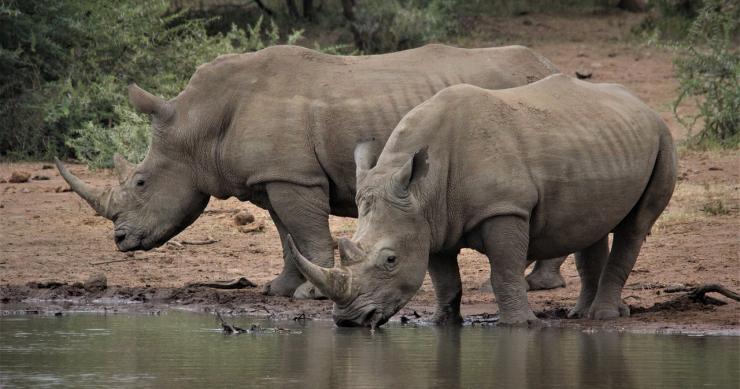 Bonus acqua potabile, al via l'invio del modello
