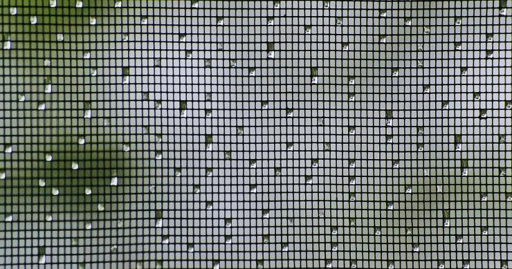 Installazione delle zanzariere, quando scatta il bonus