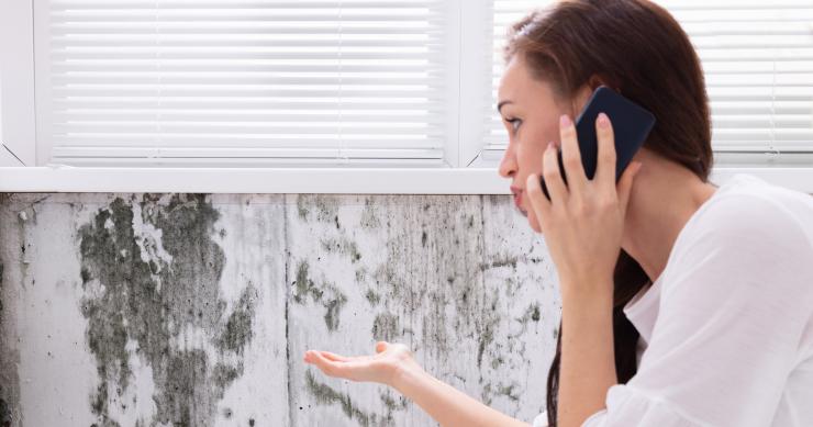 Come eliminare l'umidità in casa