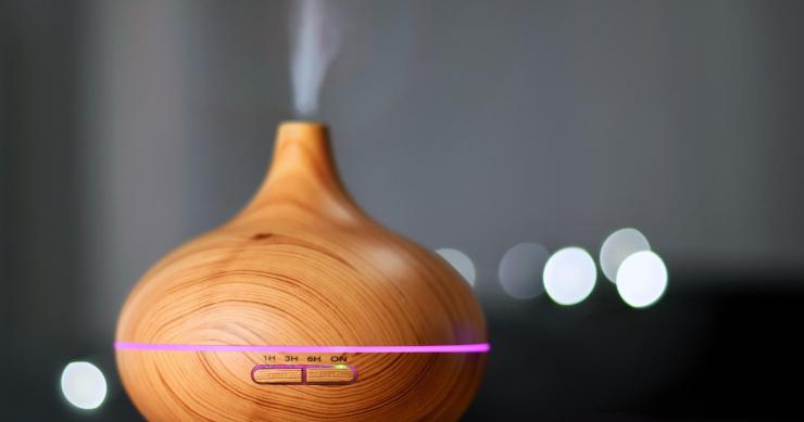 Come allontanare gli insetti da casa