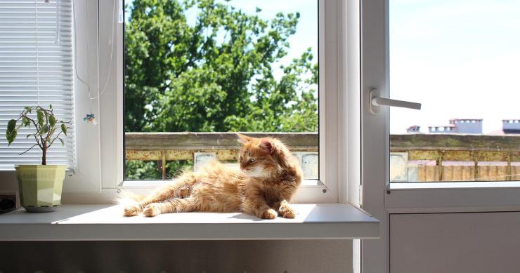 Hai caldo ma temi la bolletta? Scopri come rinfrescare la casa senza condizionatore