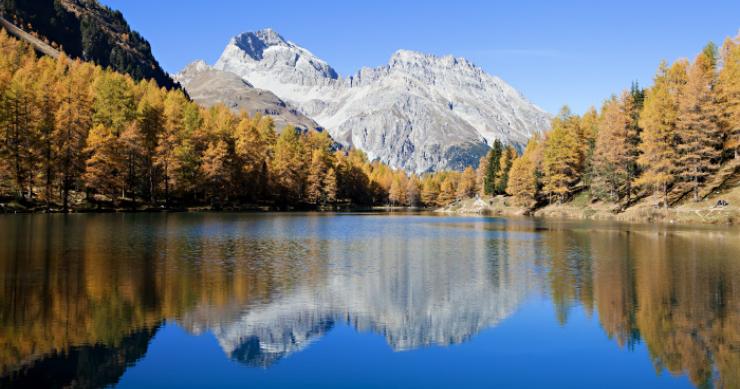 Svizzera