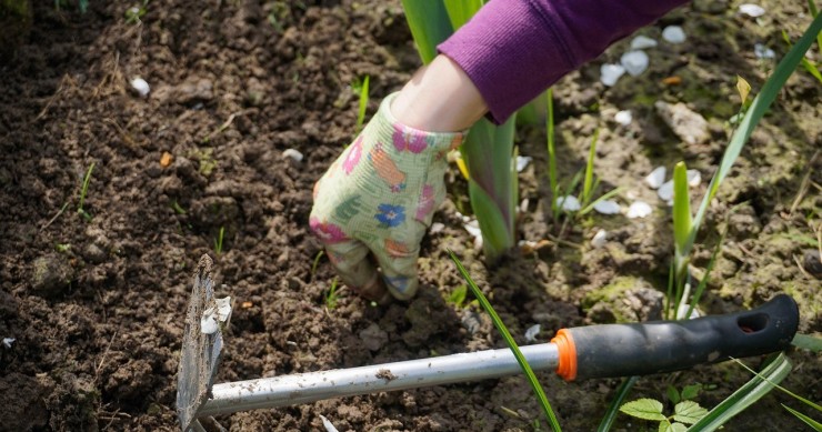 Giardinaggio