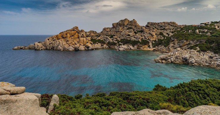 cala spinosa