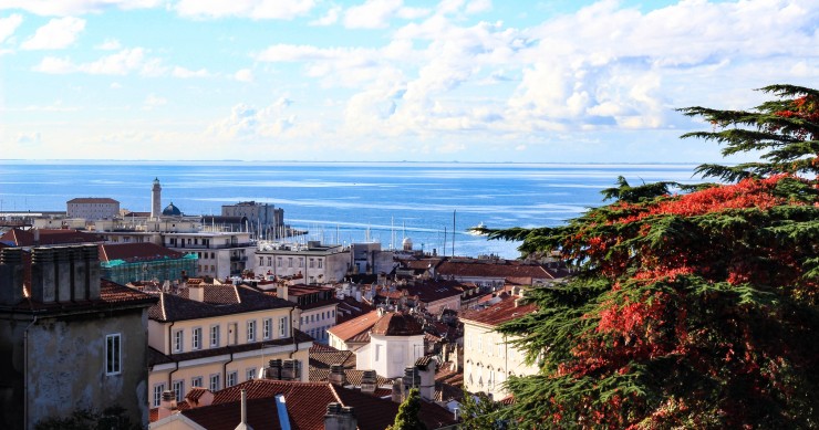 cosa vedere a trieste