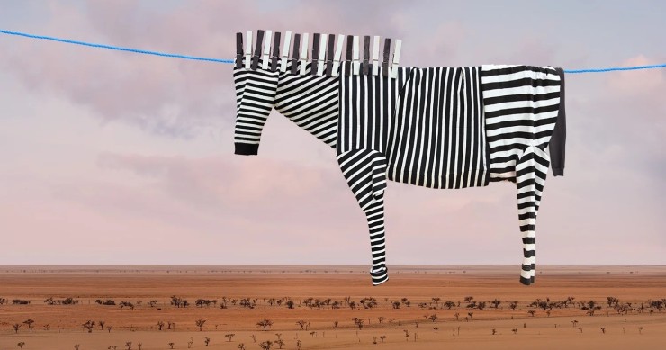 zebra de Helga Stentzel