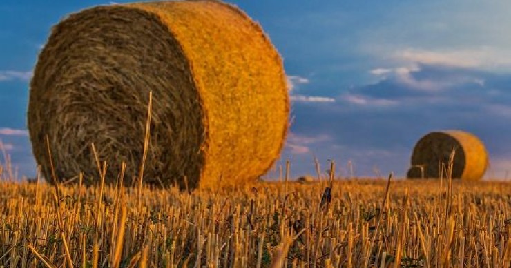 Enpaia-Censis: negli italiani crescono 'paura verde' ed eco-ansia