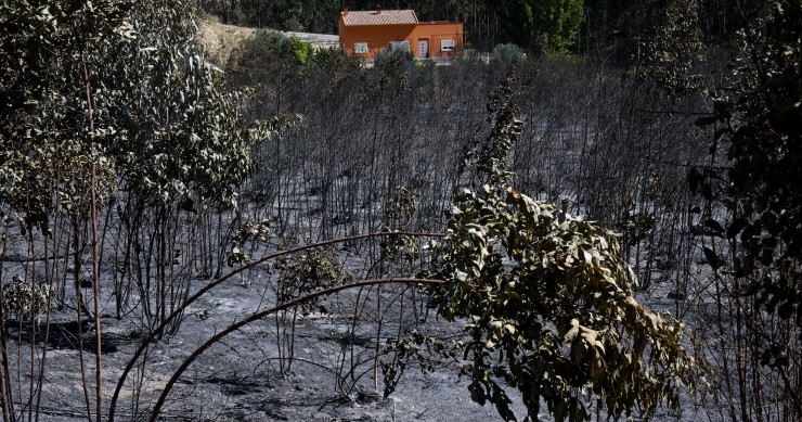 Cambiamenti climatici