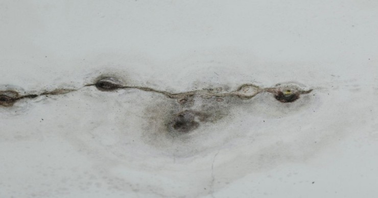 infiltrazioni tetto condominio