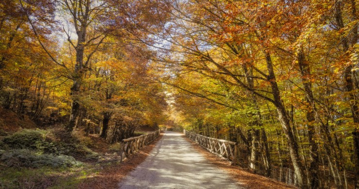 cosa vedere parco dei nebrodi