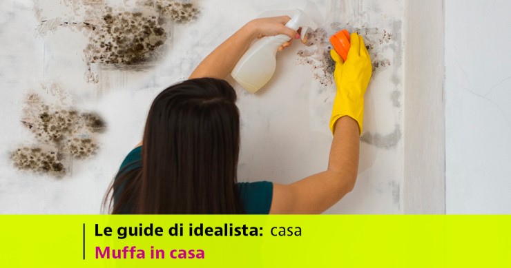 Le guide di idealista — idealista/news