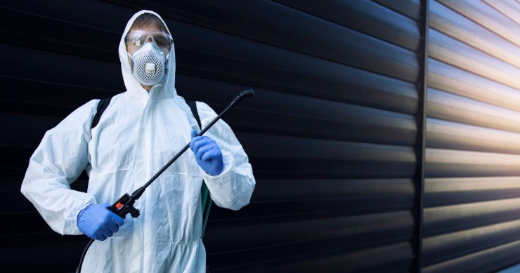 costi derattizzazione