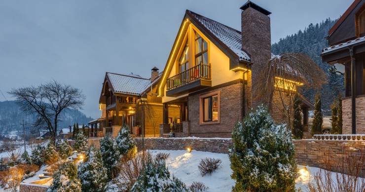 piante da esterno resistenti al freddo